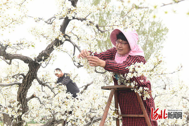 圖片默認標題_fororder_hebnewsimg (6)