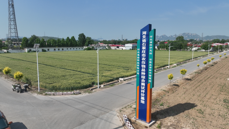 （原創）石家莊市鹿泉區：科技助力加強管理 築牢夏糧豐收根基_fororder_圖片15