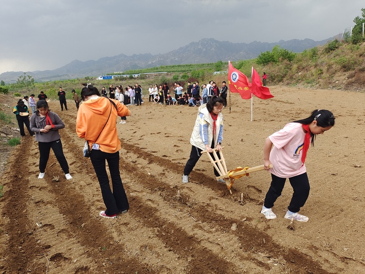 圖片默認標題_fororder_唐縣第五小學同學們在“堯之谷”開展田間勞作