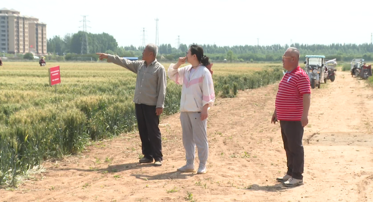（原創）石家莊市鹿泉區：科技助力加強管理 築牢夏糧豐收根基_fororder_圖片14