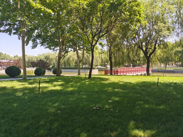 （原創）石家莊市新華區：公共綠地開放 共享美好生活_fororder_微信圖片_20230612163544