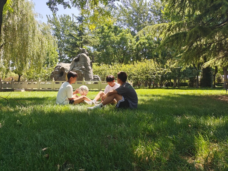 （原創）石家莊市新華區：公共綠地開放 共享美好生活_fororder_微信圖片_20230612163450