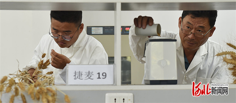 圖片默認標題_fororder_hebnewsimg (6)