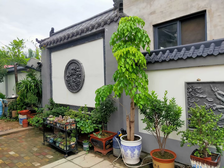 （原創）河北大名：打造“美麗庭院” 扮靚“美麗鄉村”_fororder_圖片20