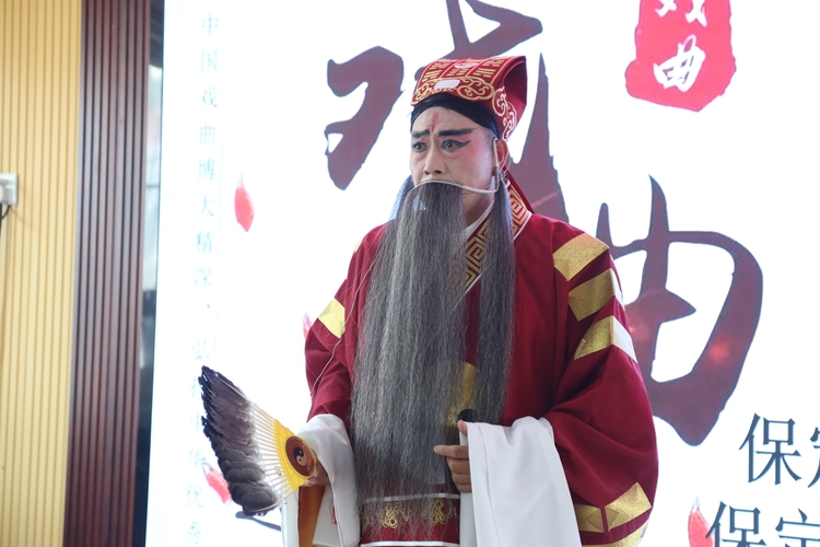 圖片默認標題_fororder_京劇《空城計》選段 攝影 張麗娟