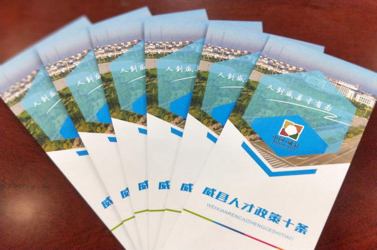 河北威縣：推進人才強縣戰略  提高人才工作品質_fororder_圖片3