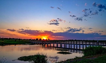 河北石家莊：水清岸綠花成海 滹沱美景醉遊人