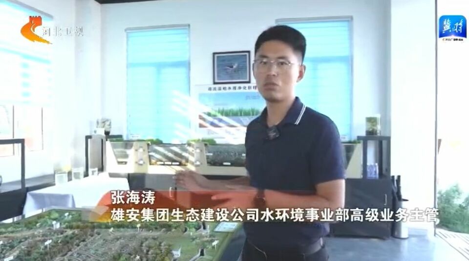 走雄安 看生態 | 不讓一滴污水流入白洋淀