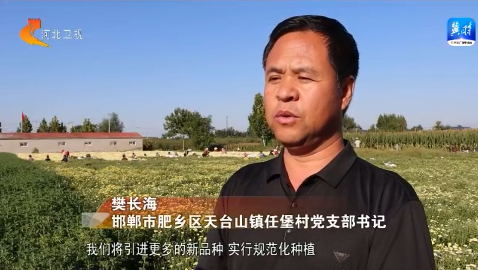 慶豐收 促和美 | 河北：金秋時節好“豐”光 鄉村振興結碩果