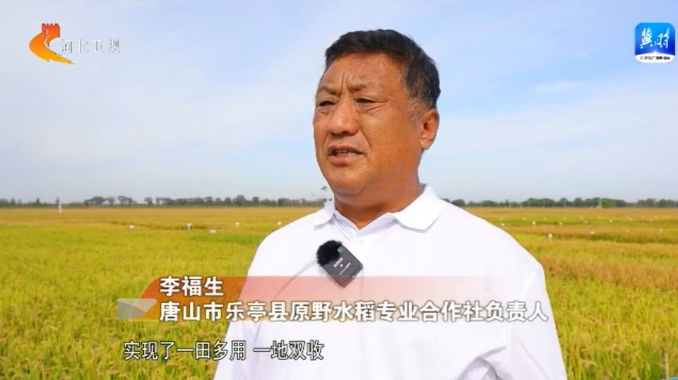 慶豐收 促和美 | 河北：金秋時節好“豐”光 鄉村振興結碩果