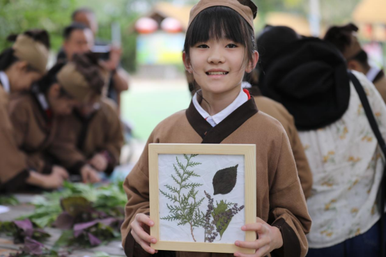 河北滄縣：小學生識百草 體驗中醫藥文化_fororder_河北滄縣：小學生識百草 體驗中醫藥文化729