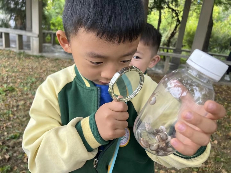 圖片默認標題_fororder_滿城區直屬幼兒園孩子們近距離觀察蝸牛 攝影 陳佔良