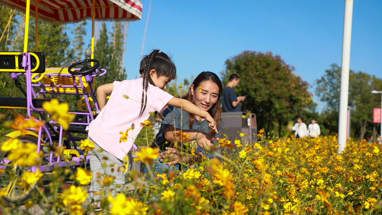河北安國：千畝藥花競相綻放_fororder_遊客徜徉在花海中。 班靜怡 攝