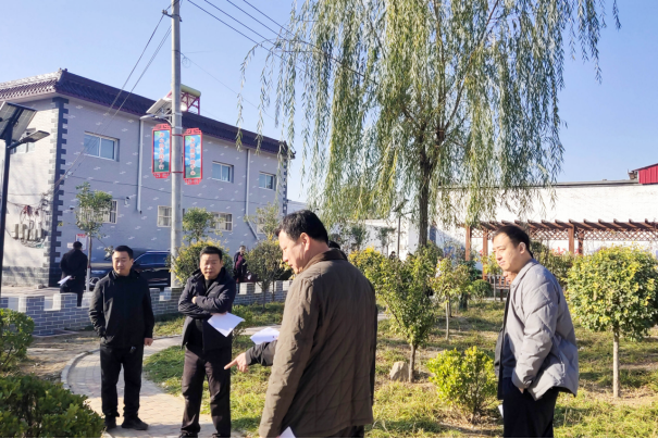 河北晉州：學幹結合促鄉村振興_fororder_河北晉州：黨建觀摩抓示範 比學趕超促發展492