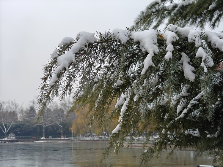 圖片默認標題_fororder_東環公園雪景5