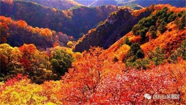 樂享河北隨手拍 最美紅葉拍起來