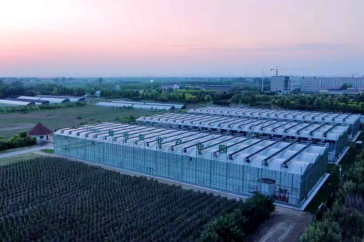 河北清苑：都市農業助農增收_fororder_河北省保定市清苑區好夢林水都市農業産業園（無人機照片）。