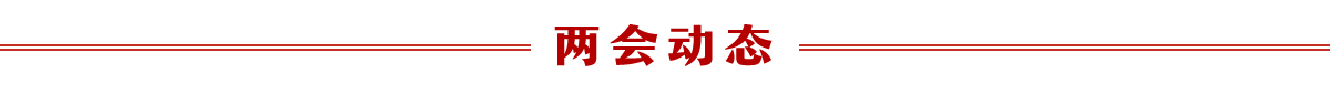 兩會動態banner_fororder_兩會動態1200 85