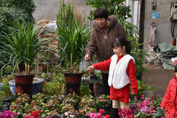 河北海興：鮮花經濟“助農增收”_fororder_圖片4