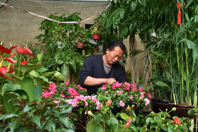 河北海興：鮮花經濟“助農增收”_fororder_圖片3