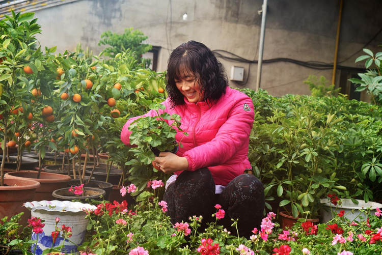 河北海興：鮮花經濟“助農增收”_fororder_圖片2