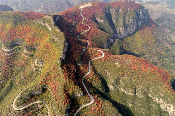 紅葉秋景