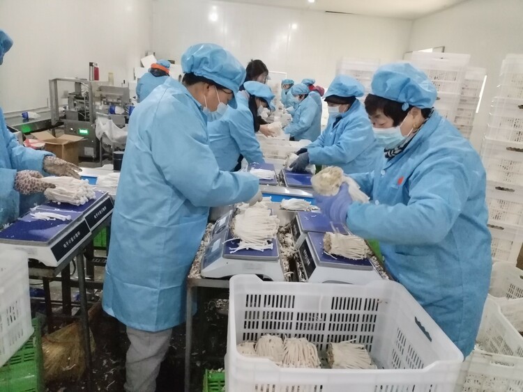 圖片默認標題_fororder_2