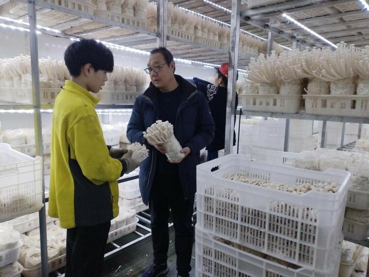 圖片默認標題_fororder_4