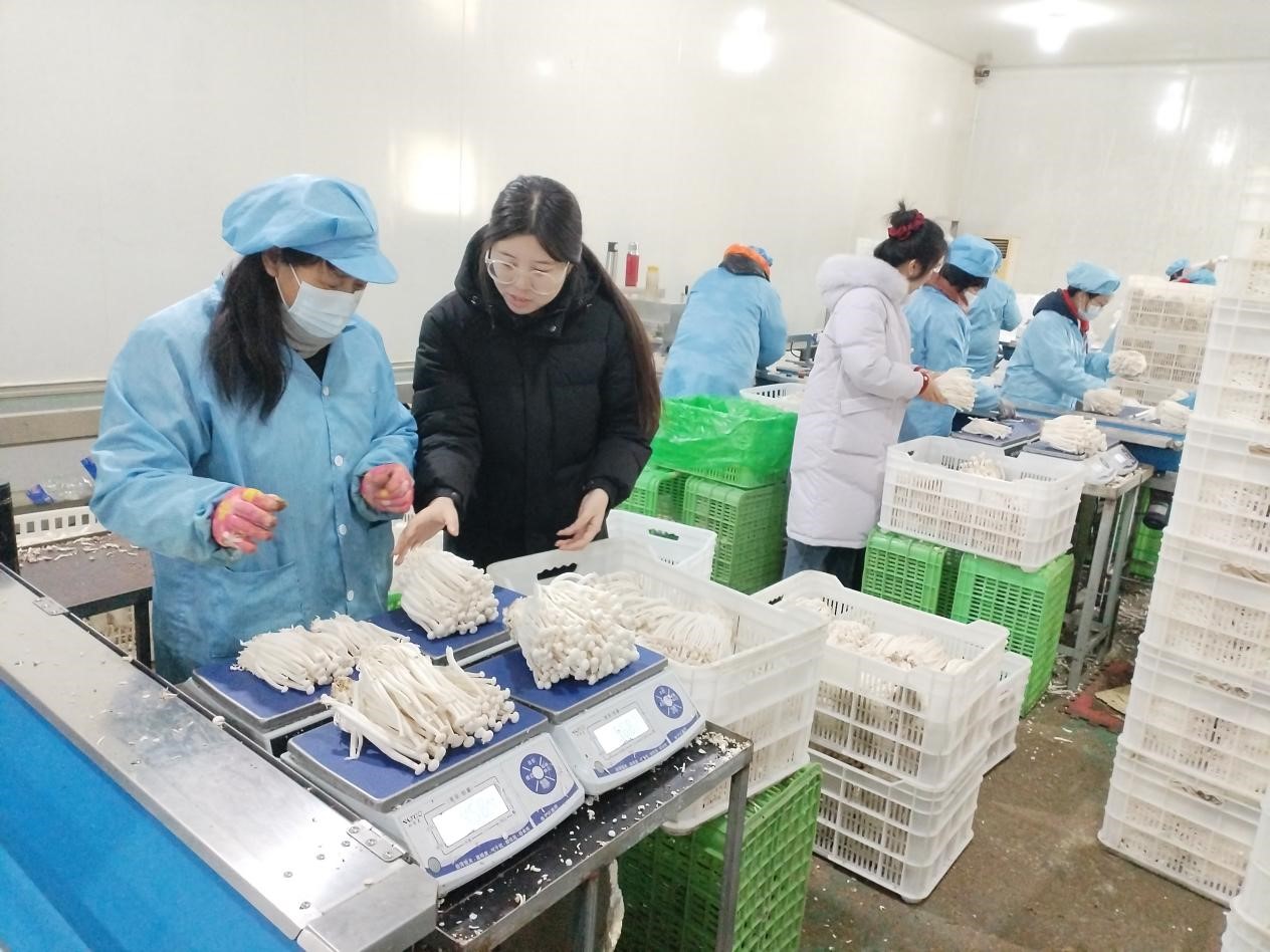 圖片默認標題_fororder_1