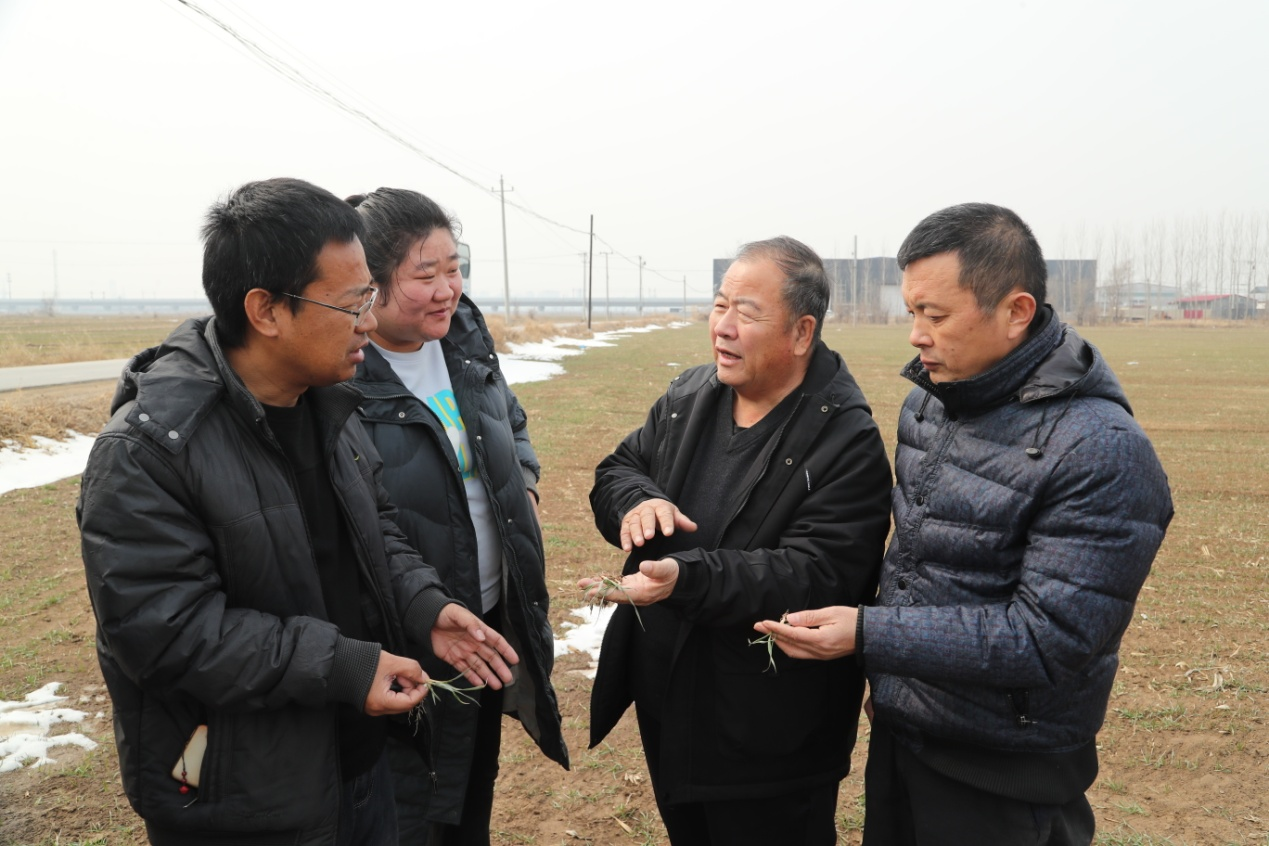 河北東光：專家指導助春耕 科學管理穩增收_fororder_圖片 4