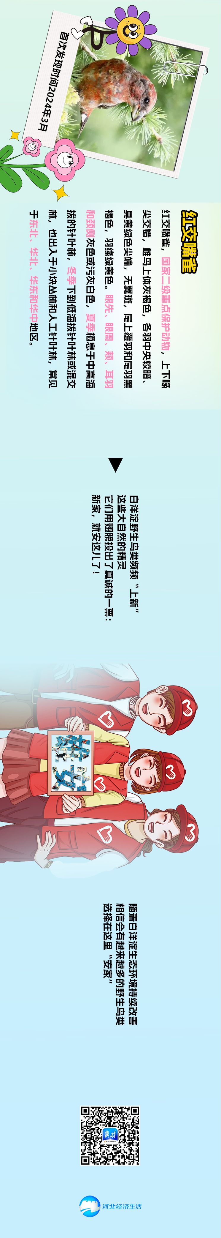 雄安百鳥圖｜當雄安新區設立7週年遇上國際愛鳥日 驚艷了整個春天！_fororder_ea9a45c6f00b11eebbffca2361d0b397