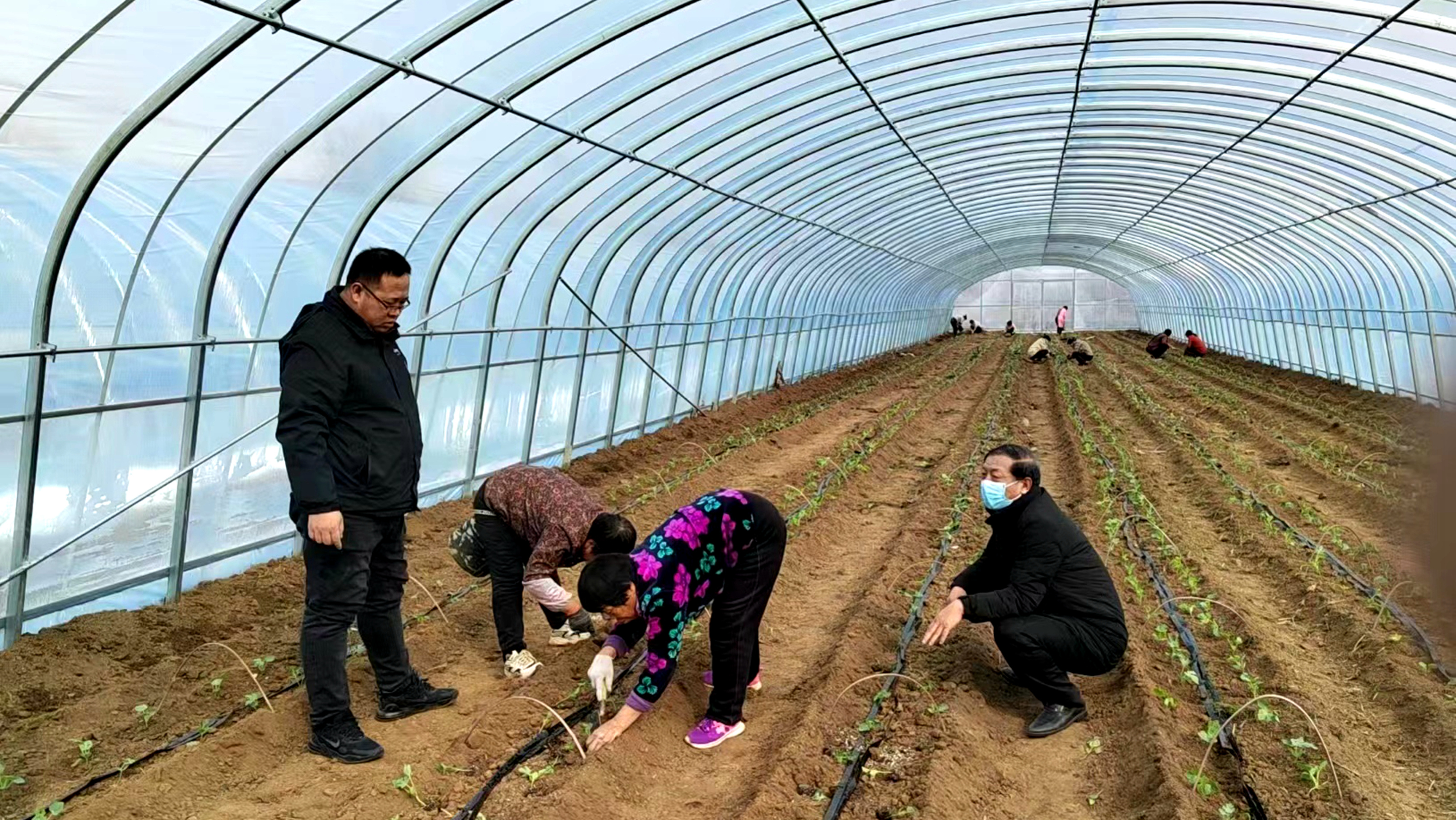 河北唐縣：農技指導“護航”春耕備播_fororder_農業技術人員在一蔬菜瓜果採摘基地指導西瓜種植
