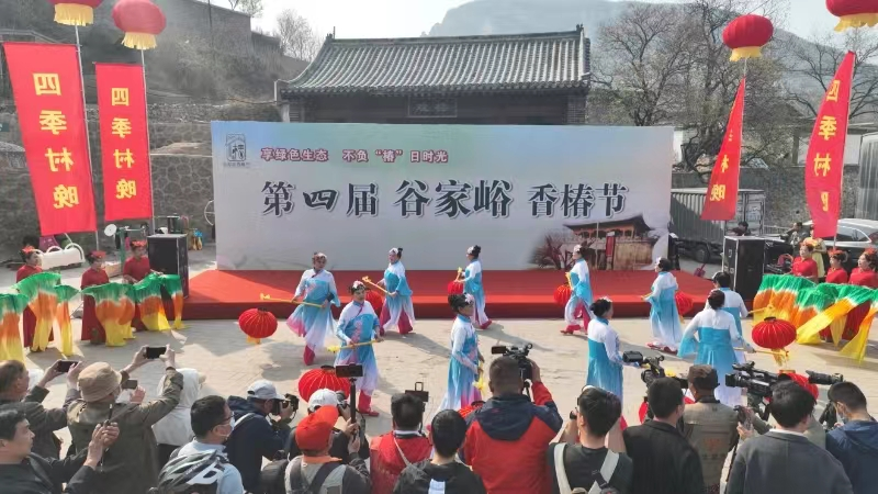 石家莊鹿泉區第四屆谷家峪香椿節開幕_fororder_圖片 1