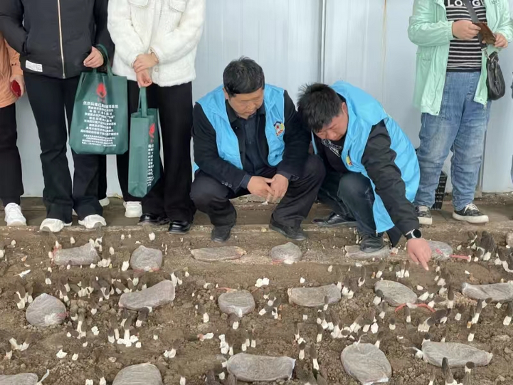 石家莊市鹿泉區：農技培訓進田間 助撐綠色“致富傘_fororder_圖片 2