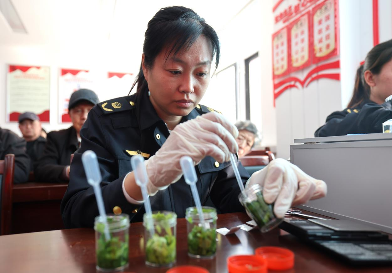 滄州市新華區：食品安全進社區 守護健康好生活_fororder_圖片 3