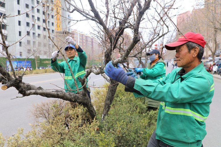 河北平泉：推進園林綠化 提升城市“顏值”_fororder_圖片1