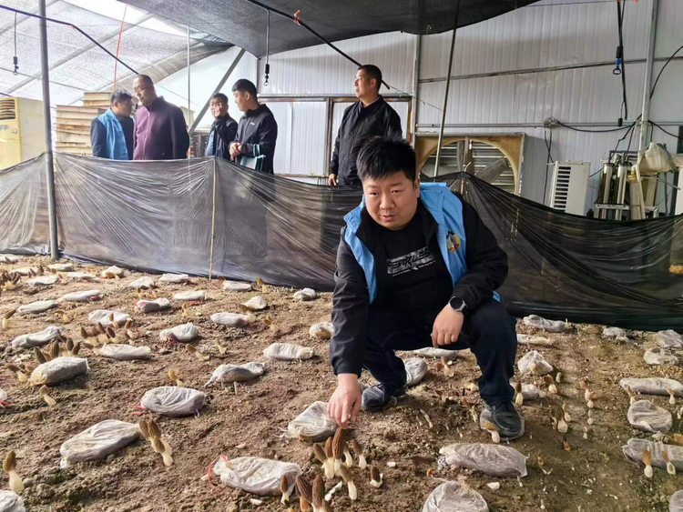 石家莊市鹿泉區：農技培訓進田間 助撐綠色“致富傘_fororder_圖片 1