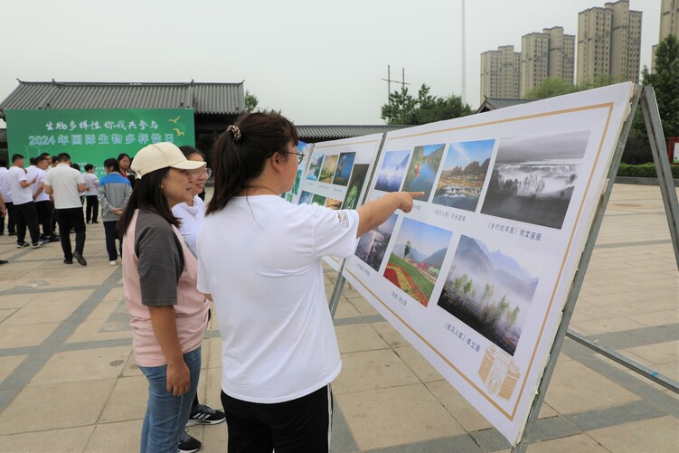 河北淶水：保護生物多樣性 共同守護綠色家園_fororder_圖為群眾在國際生物多樣性日攝影作品展板前駐足觀看。（徐梓鈺 攝）.JPG