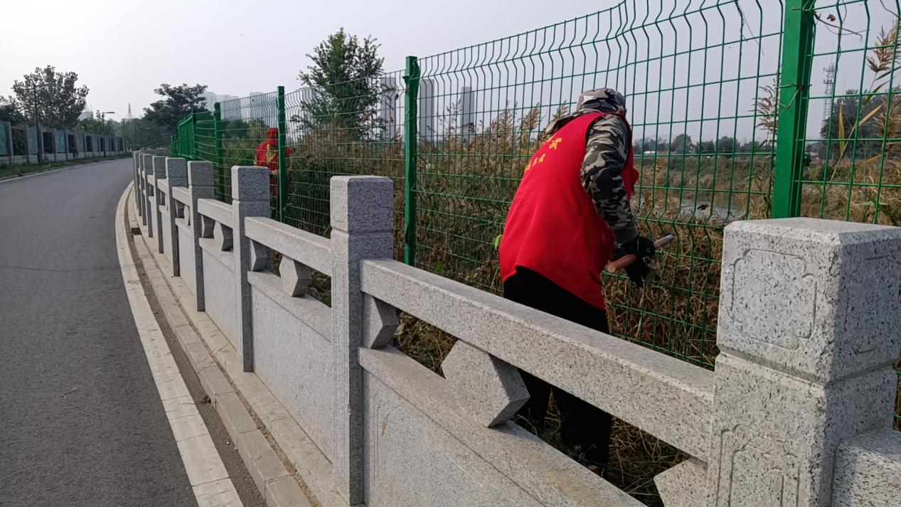 河北泊頭：“志願紅”守護“水常清” 繪就美麗大運河生態畫卷_fororder_圖片 1