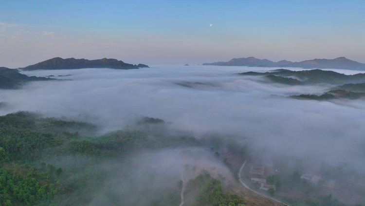 石家莊靈壽：出現雲海奇觀_fororder_圖片7