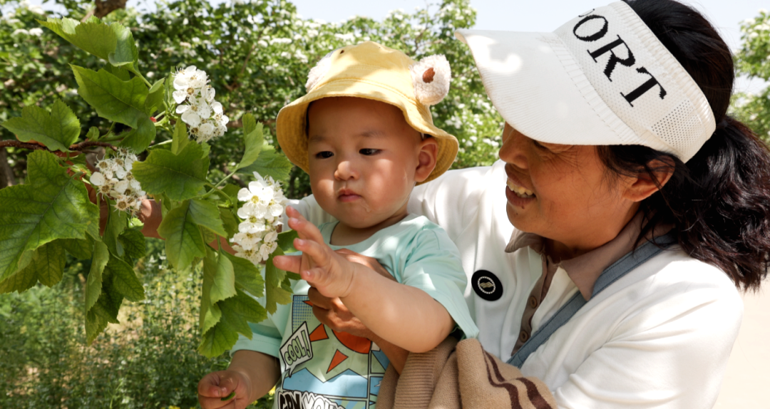 邢臺清河：山楂花開香滿園_fororder_48cbc650d74f096974d3c882c1cd3f6d_