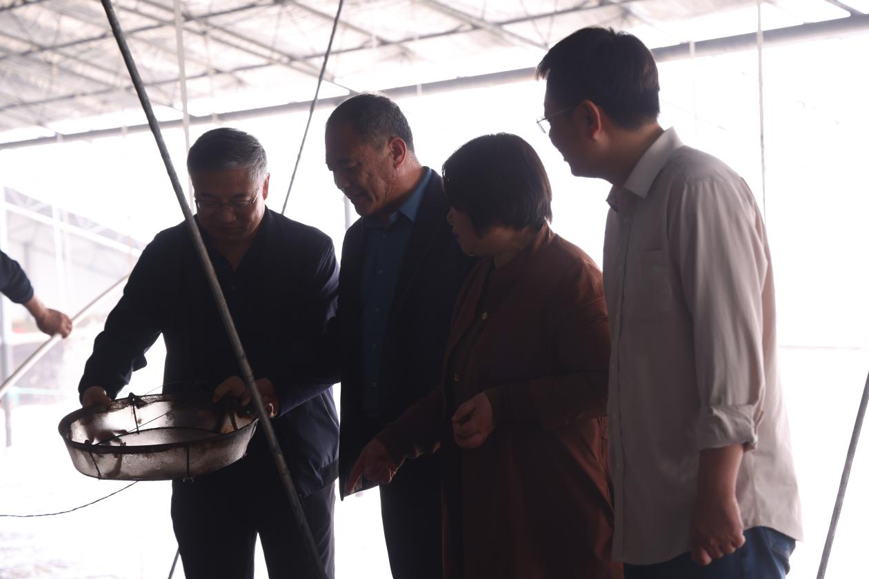 河北海興：推動綠色水産養殖  護航水産高品質發展_fororder_圖片 4