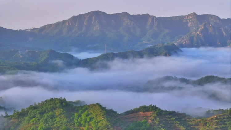 石家莊靈壽：出現雲海奇觀_fororder_圖片5