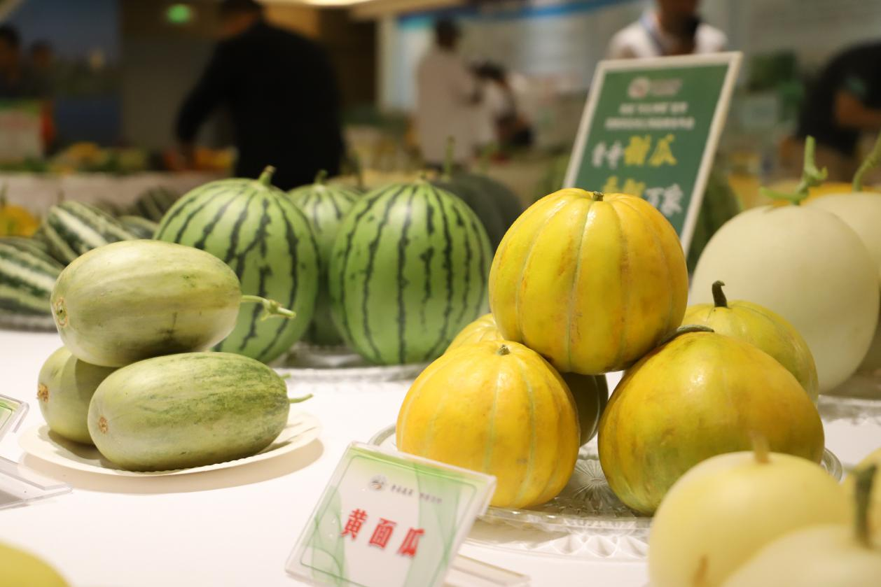 河北青縣推進“凈菜進京” 開啟“青縣蔬菜”區域公用品牌新篇章_fororder_圖片 2