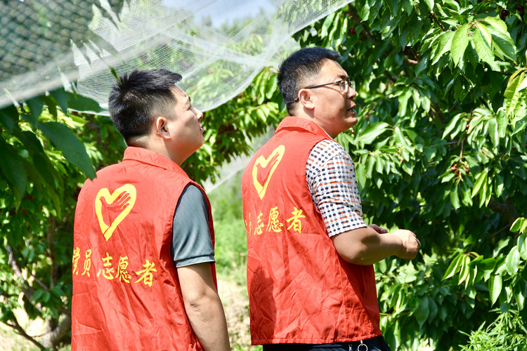 河北海興：因地制宜激活鄉村振興“新動能”_fororder_圖片 1