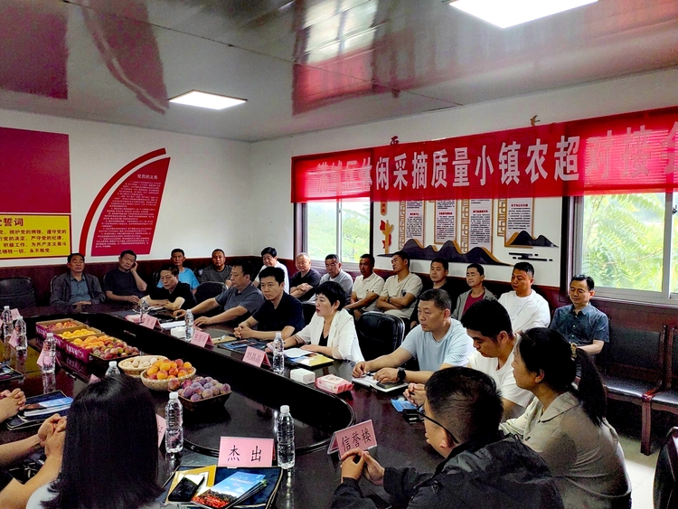 保定市滿城區：熱線助農保豐收 接訴即辦暖民心_fororder_劉家臺鄉邀請大型商超召開商品訂購對接會 攝影 王靜川