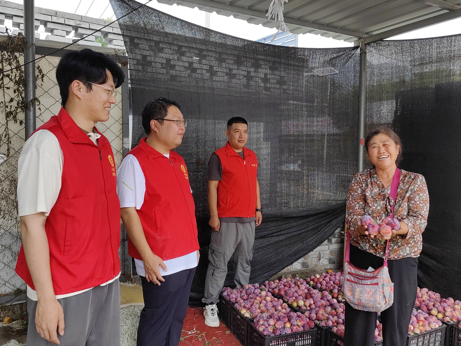 保定市滿城區：熱線助農保豐收 接訴即辦暖民心_fororder_與果農商議解決方案 攝影 陳璐