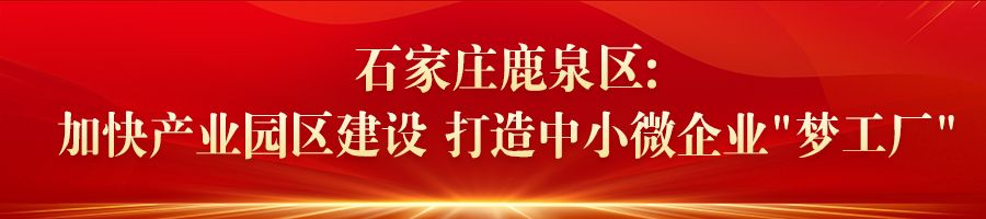 河北：加速推進重點項目建設 引導新興産業健康有序發展