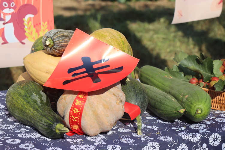 保定徐水區：“田間樂豐收，童趣滿金秋”_fororder_IMG_9914.JPG