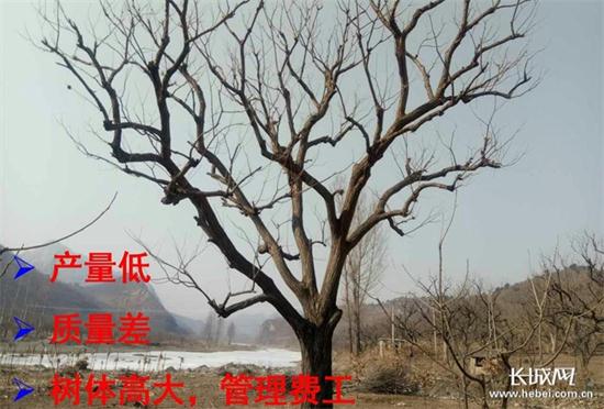 圖片默認標題_fororder_b6bc8782-fe77-4f9a-8c54-c06b7ff5db8a